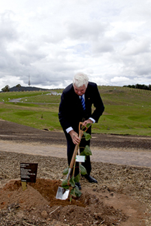 Major General Michael Jeffery planting the flowering Corymbia.