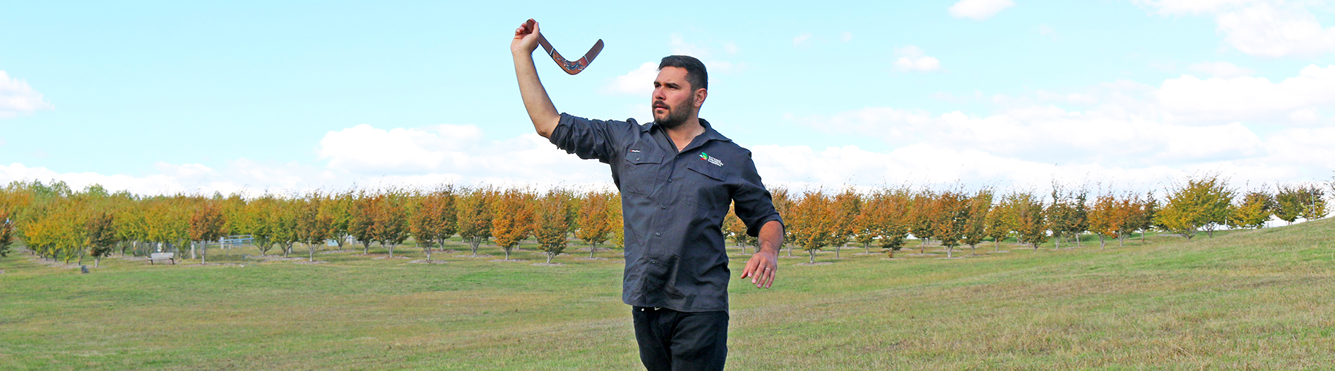 Male indigenous guide throwing a boomerang in a grassy space on a sunny day