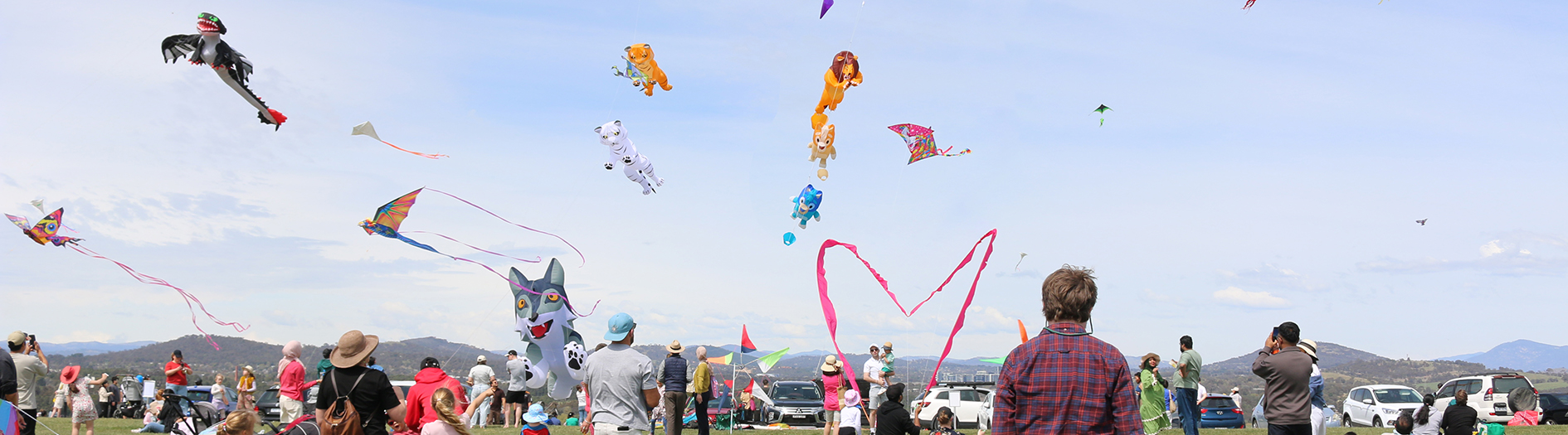 An assortment of unique kites fly in the sky, including a large dragon, love heart and grey wolf