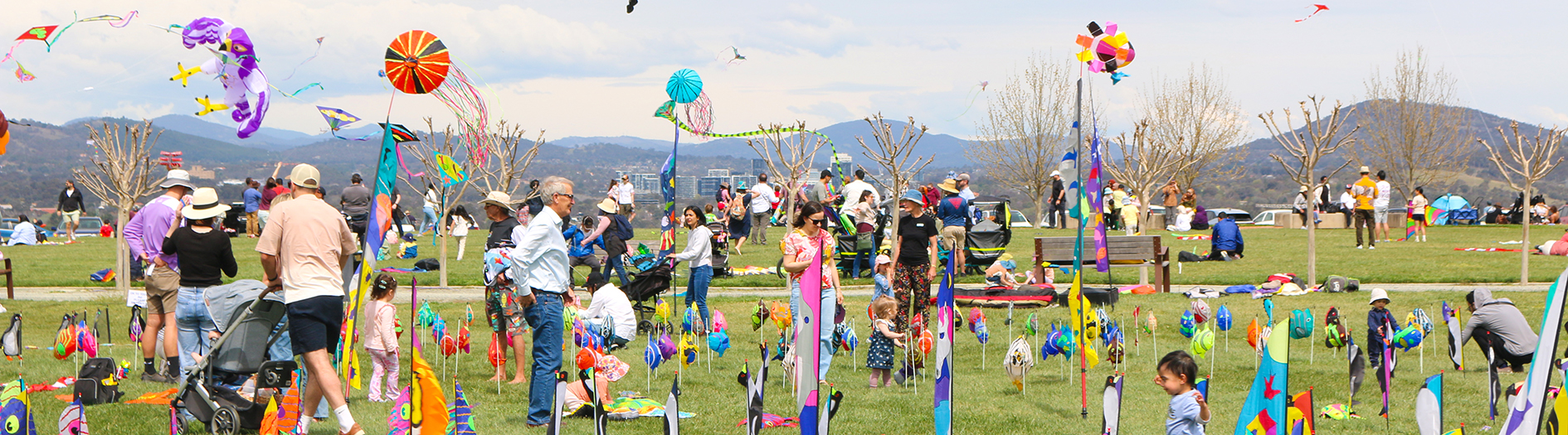 Crowds of all ages walk through the colourful kites and festivities