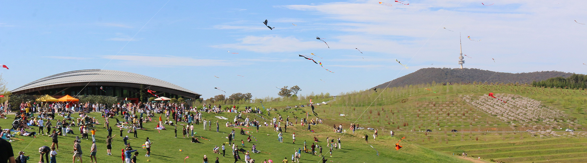 Colourful kites fly over happy crowds in front of the iconic aboretum visitors centre and grassy amphitheatre