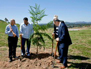 Digging in the dirt are sports stars (left to right) Robert de Castella, Mal Meninga, Lauren Jackson and David Campese at the site of the Hoop Pine Forest. Click for larger image.