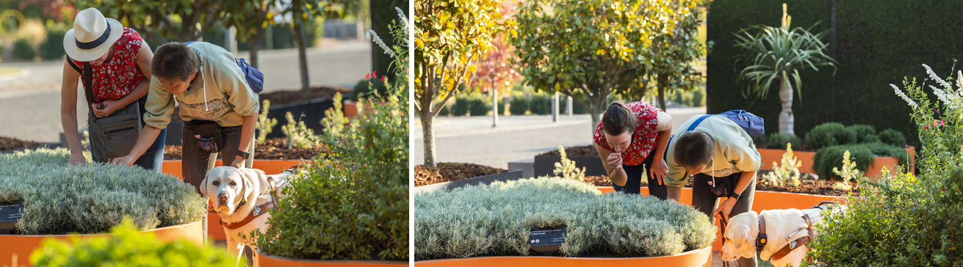 Two ladies, one with a service animal, experiencing the textures and scents of the Sensory Garden