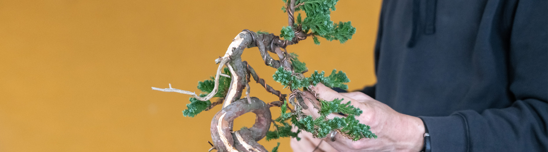 bonsai tree lamp Lostars Tabletop Bonsai Tree Light 108 Led Copper Wire Tree Lamp Fairy Spirit Night Light,Battery/USB Operated,6h Timer Adjustable Branc