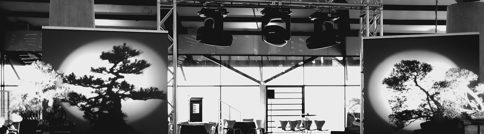 Black and White image with event scaffolding for lighting, tables and two bonsai trees artfully silhouetted against a curtain