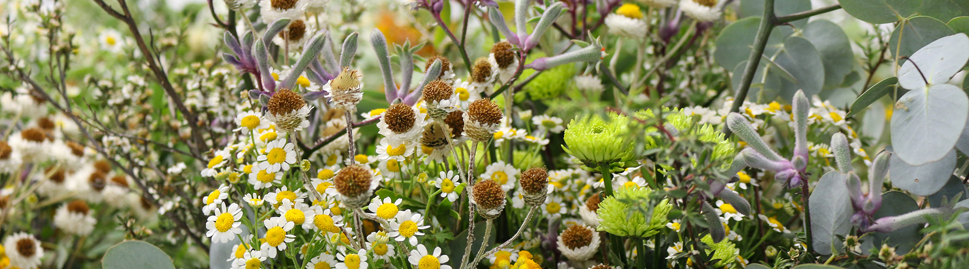 Close image of a bouquet of mostly native flowers
