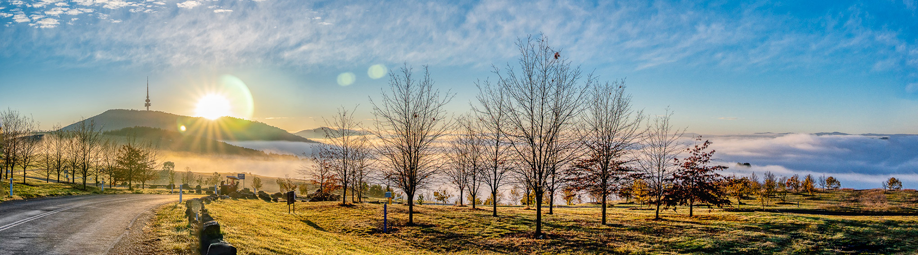 A forest of bare winter trees is illuminated against a bright morning sky with the sun adding a yellow effect to the crisp morning