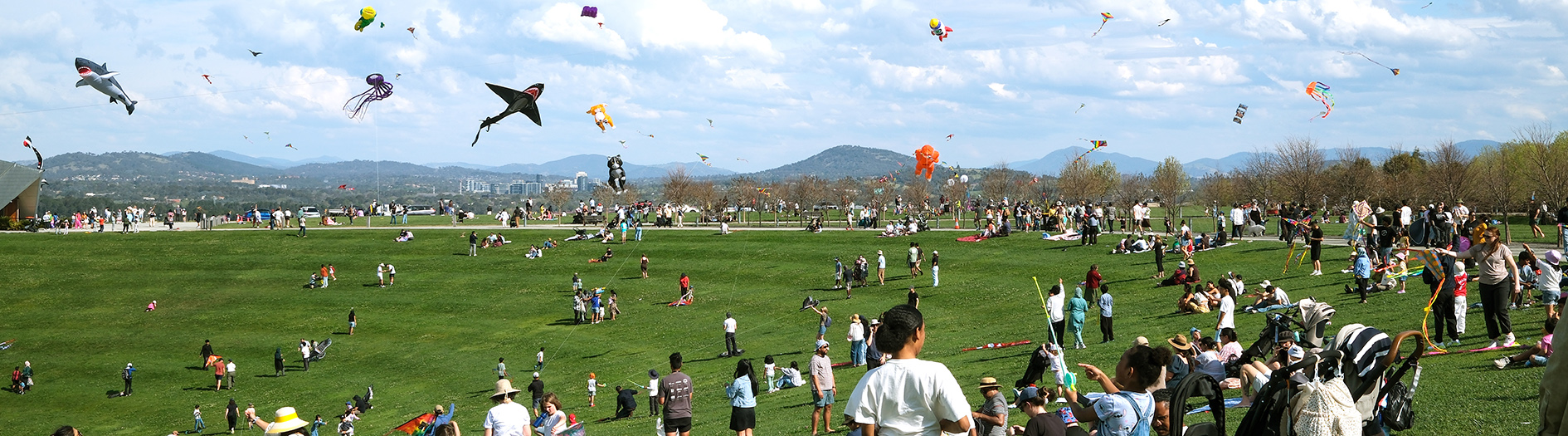 The sky is filled with all different shapes and colours of kites including a very large shark and dragon