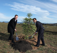 Tree planting ceremony
