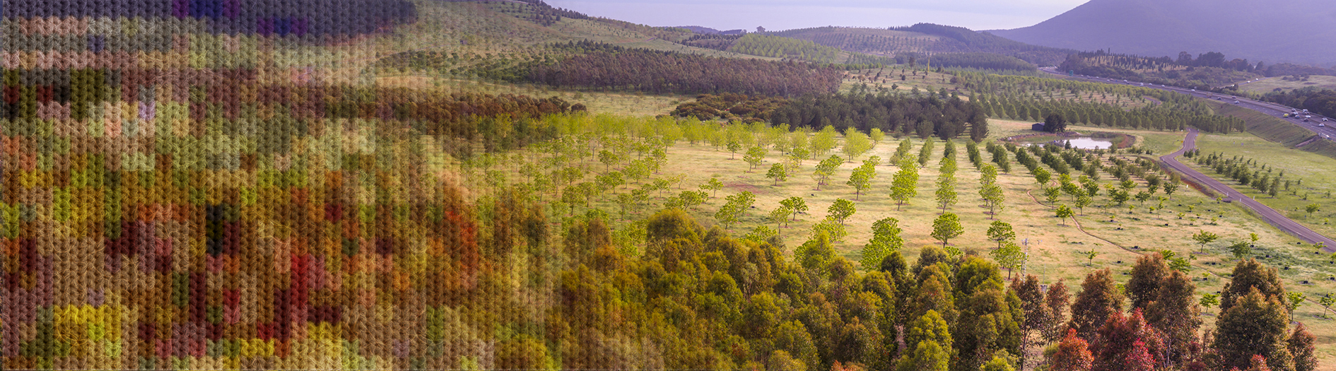 An aerial image of brown and green forests, one end of the image has a knit style graphic overlayed as it blends into the scenic image