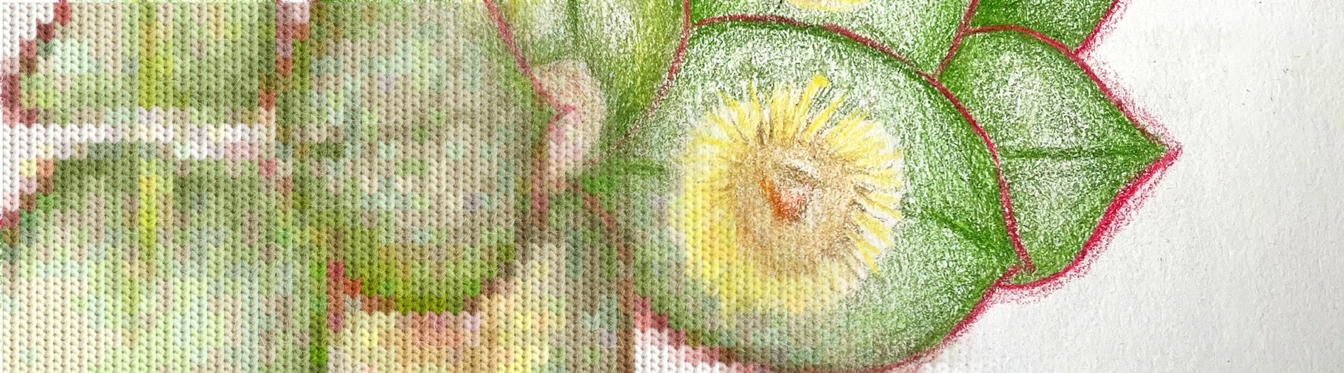 Collaged image blending a green-toned knitted texture with a colourful childlike drawing of a flower and leaves in soft pastel chalk on a light background.