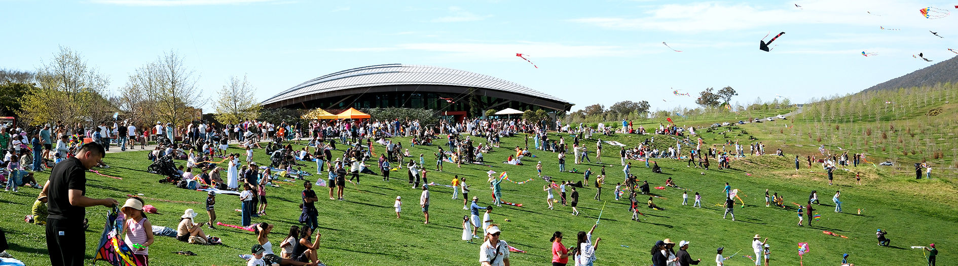 Happy crowds fill the grassy lawn and amphitheatre infront of the Arboretum's visitors centre, to fly colourful kites on a sunny day