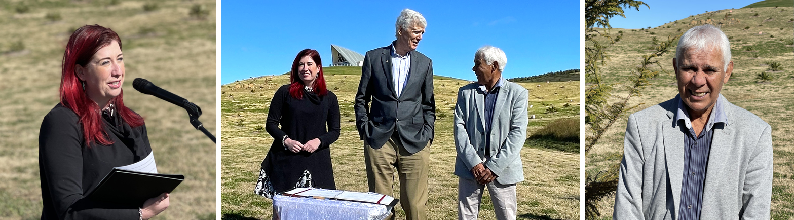 Australian Hero Tree Dedication David Williamson AO National Arboretum