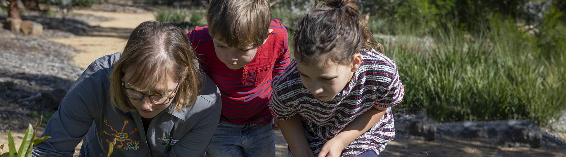 A group of children huddle around and observe native flowers growing in the STEP garden at the arboretum