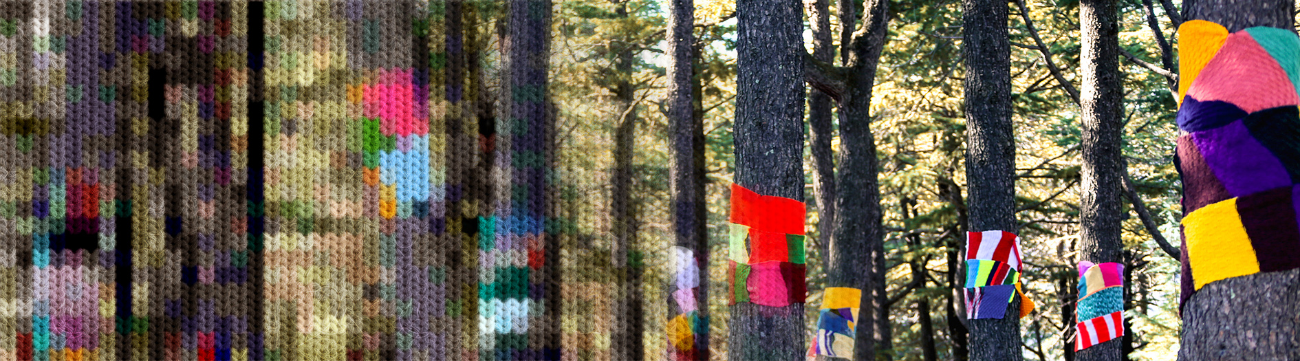 A forest is wrapped in colourful knitted scarves, with a knit effect laying over the edge of the image