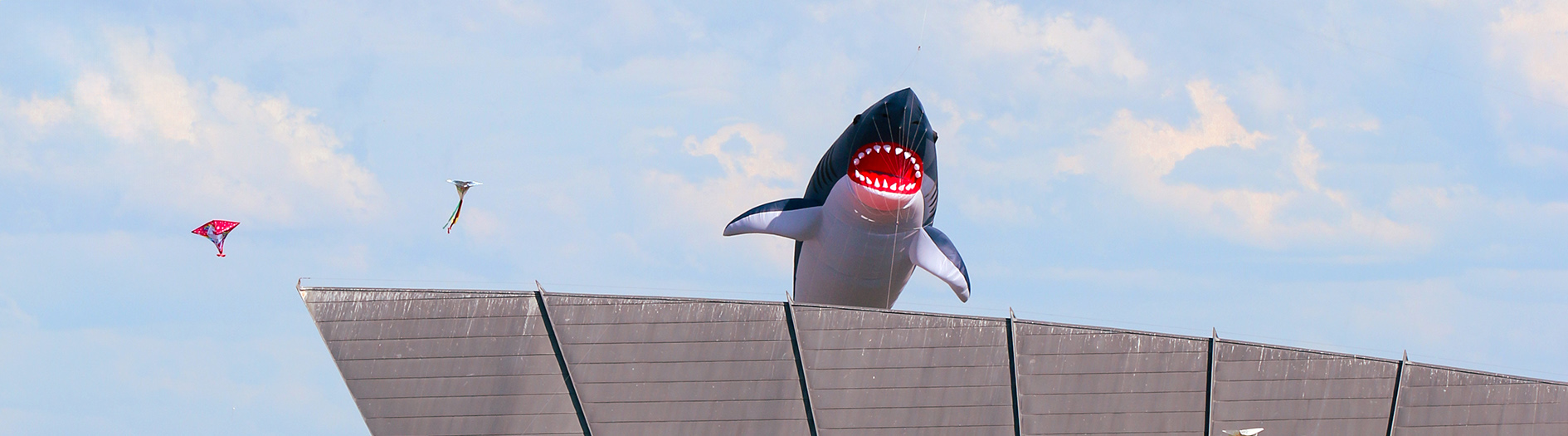 An enormous shark kite flies over the top of the curved roof of the pavilion