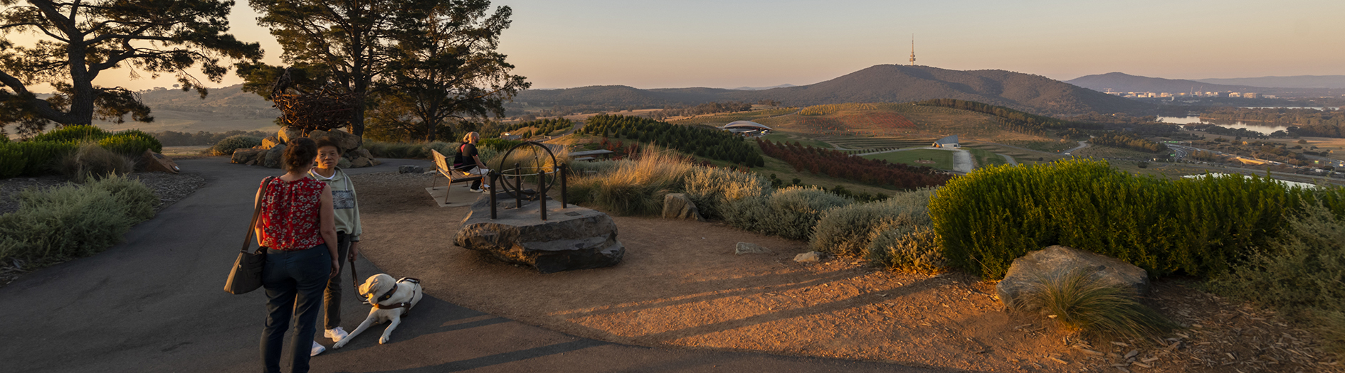Photo of family with assistance dog enjoying sunset at lookout point