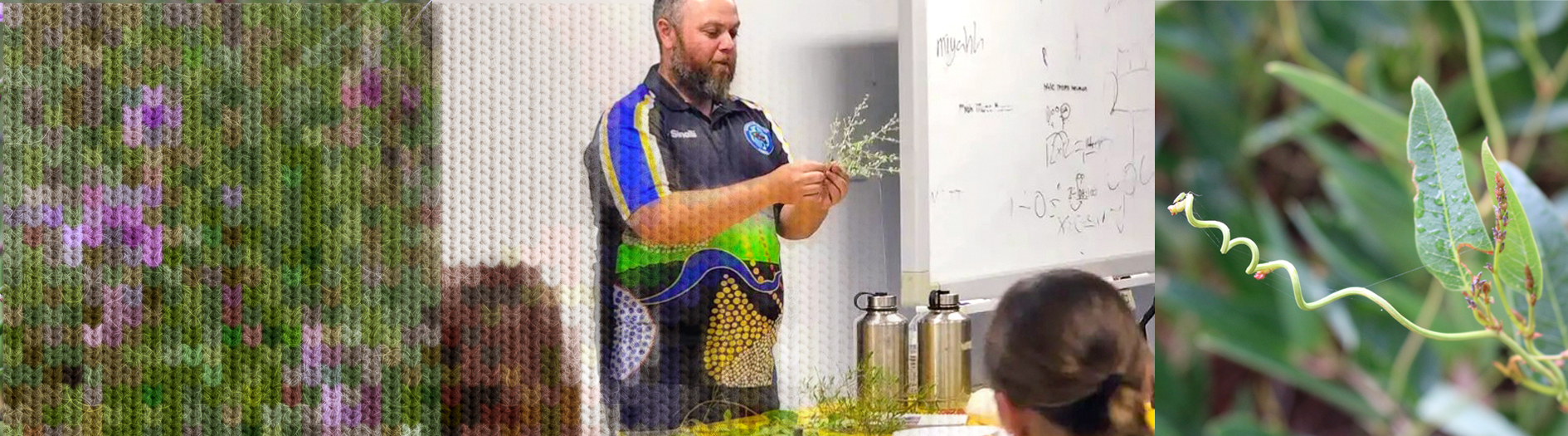 Three side-by-side images: on the left, a close-up of textured vegetation with small purple flowers creating a dense green-and-brown pattern; in the center, a person standing indoors in front of a whiteboard, holding and examining plant stems while speaking to a small group, with metal water bottles and plant samples on a table; on the right, a close-up of a slender vine curling among green leaves in a natural outdoor setting.