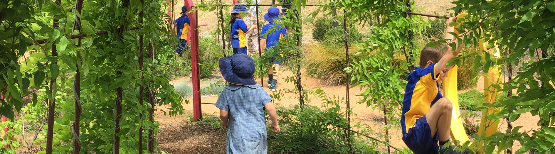 Children playing in leafy green garden