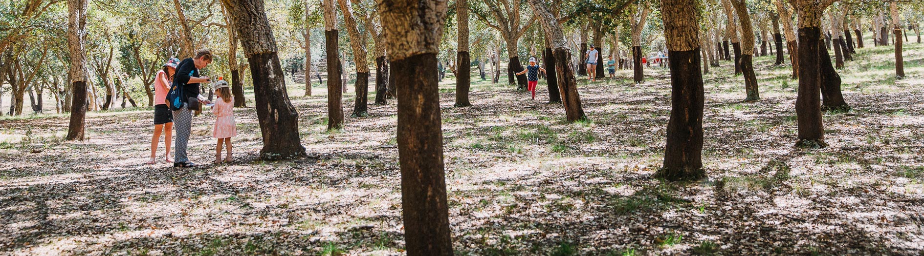 family walking through the cork oak forest
