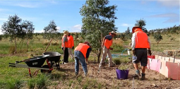 Volunteers in STEP Forest 20