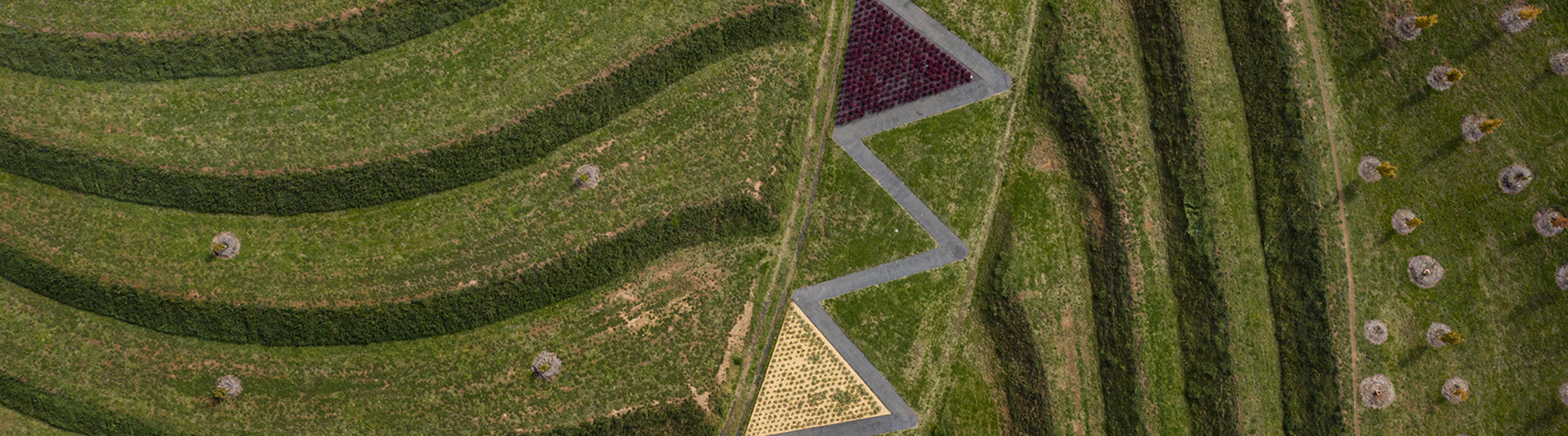 aerial perspective of zig zag landscaping of paths