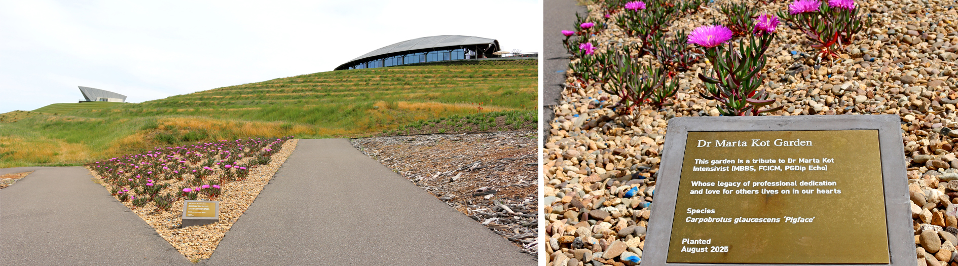 A scenic photo highlighting the location of the garden bed, between the zigzag paths of the central valley. A plague infront details the 'Dr Marta Kot' memorial garden. 