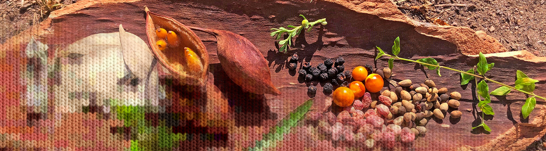 A traditional wooden carrier holds a display of native plants, a knit overlay starts at the left hand corner of the image and blends across the image
