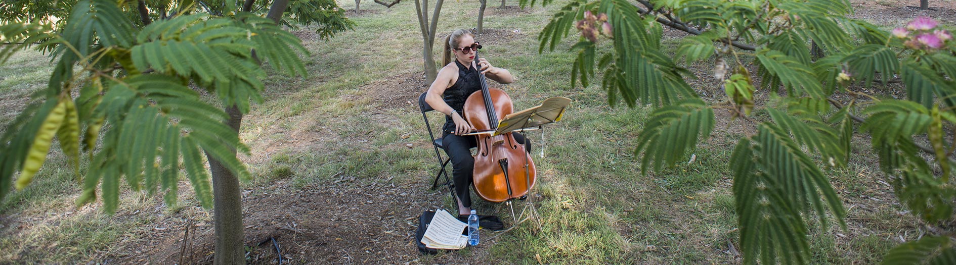 a cellist playing in the forest with green leaves in the foreground