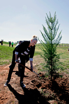 Olympic silver medalist, FIBA world champion, Australian and former Canberra Capitals basketball player Lauren Jackson plants a Hoop Pine. Click for larger image.