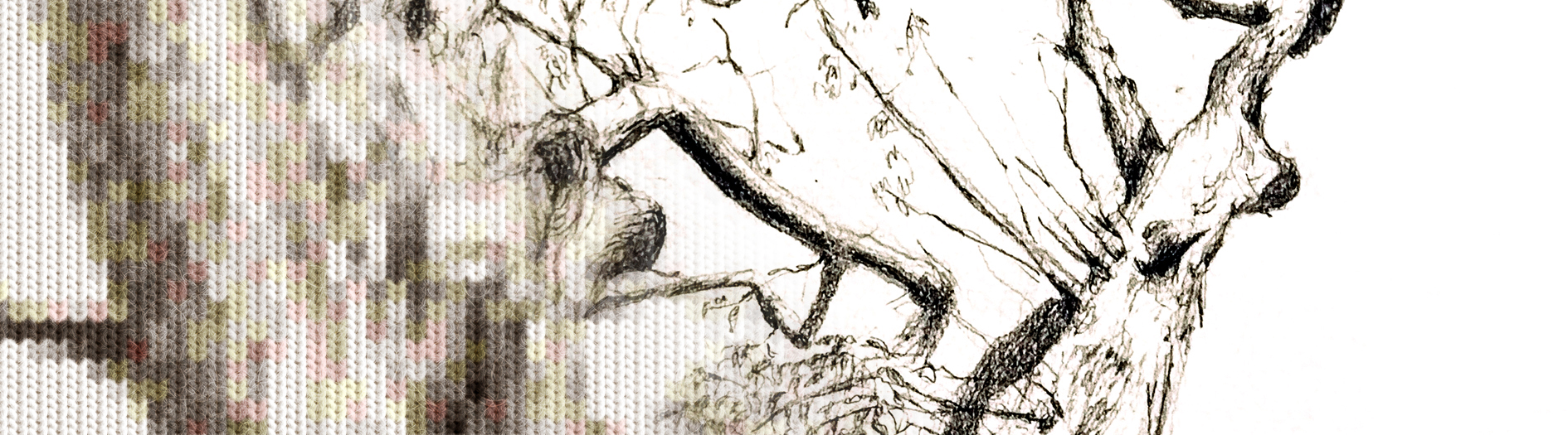 A black and white hand drawn sketch details the features and structures of a tree. A knit pattern overlay is applied to one end of the image, adding a cosy winter feel.
