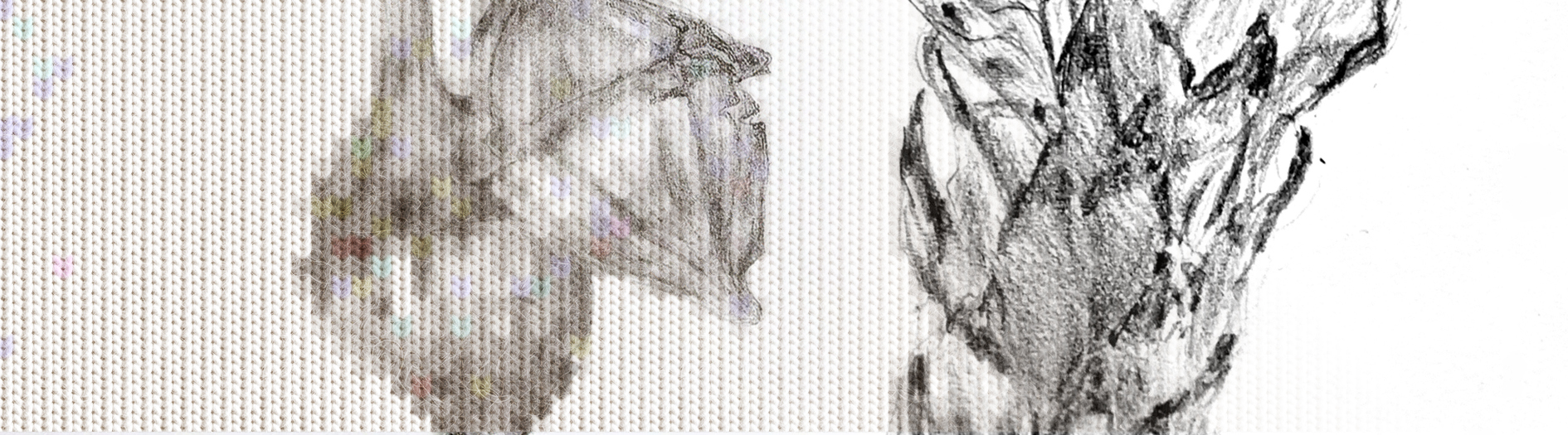Hand illustrated sketch of two very different seed pods. A knit affect has been applied to the image to create a cosy winter effect