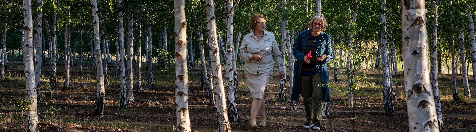 Two women walking through shady forest