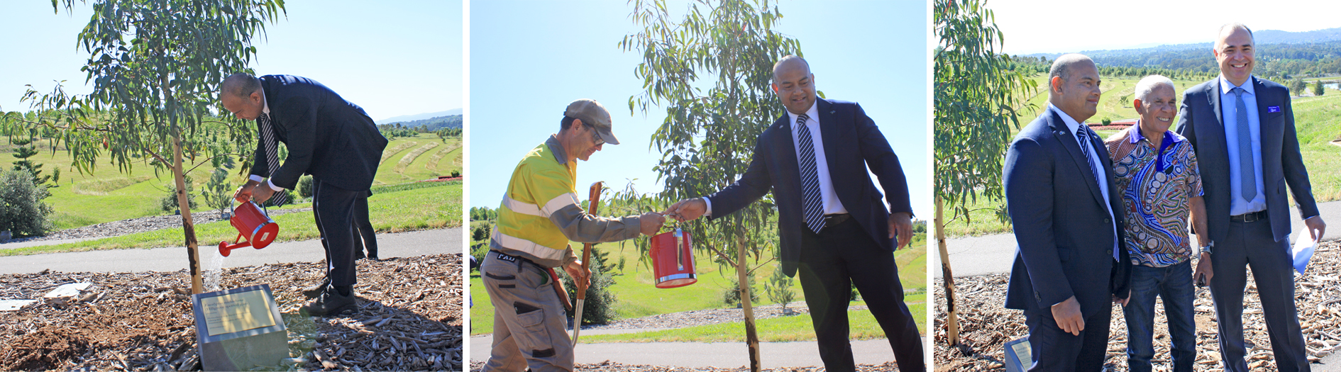 President of Nauru planting young sapling