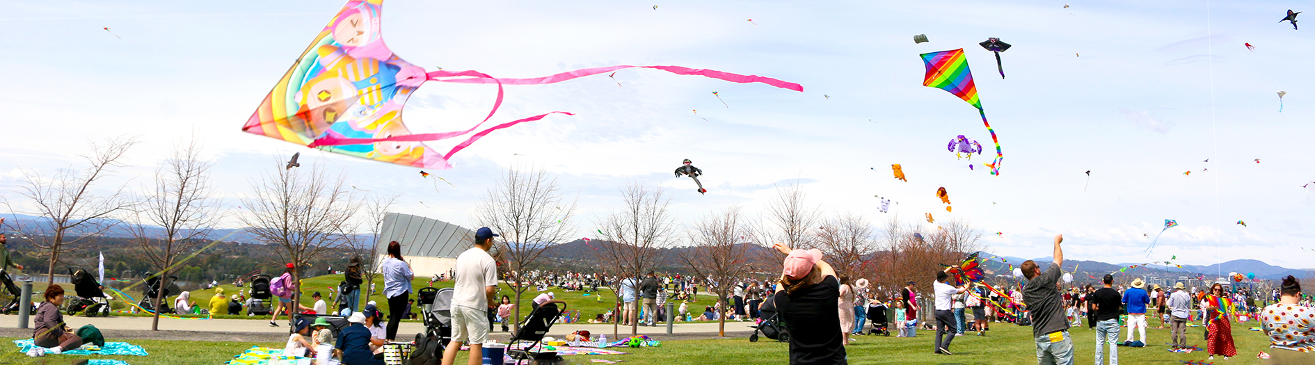 Crowds on flat open grassy area fill the sky with colourful kites