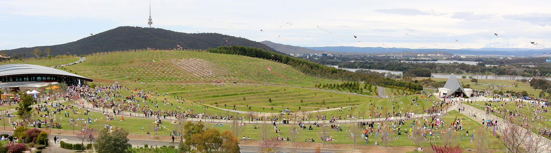 A panoramic image of the whole kite fest site, showing crowds of people, lots of kites in the air, with the arboretums forests and black mountain tower visible in the background