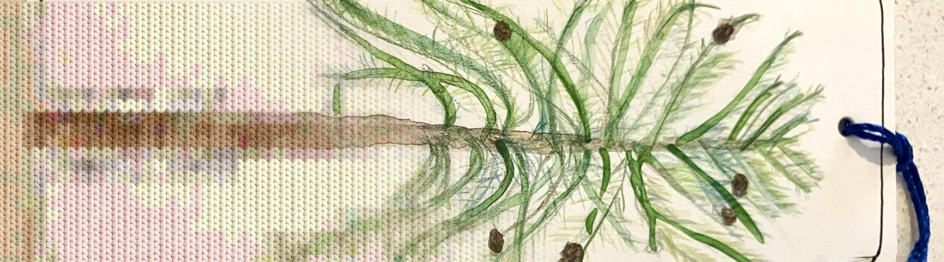Knitted fabric texture blending into a delicate drawing of a green plant branch with fine leaves and small seed pods on a light background, with a blue thread or cord along the edge.