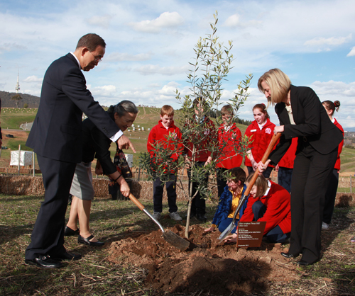 Secretary-General Ban Ki-moon and Chief Minister Katy Gallagher planting olive tree.