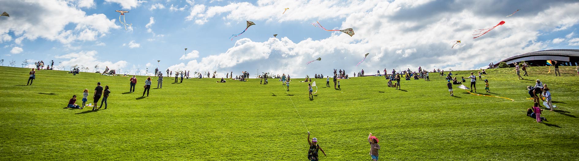 green grassy hill, crowded with families flying kites on a sunny day