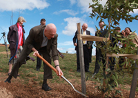 Minister Garrett planting the Agathis robusta