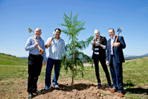 Shovels over shoulders after a job well done planting Hoop Pines at the National Arboretum Canberra, sports stars (left to right) Robert de Castella, Mal Meninga, Lauren Jackson and David Campese. Click for larger image.
