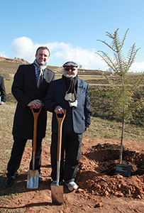 Renowned Australian writer Thomas Keneally planted a Hoop pine, Araucaria cunninhamii, in Forest 22 in 2011.