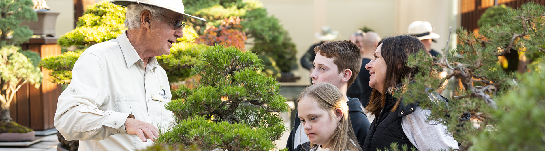 Photo of family discussing bonsai tree display with a volunteer