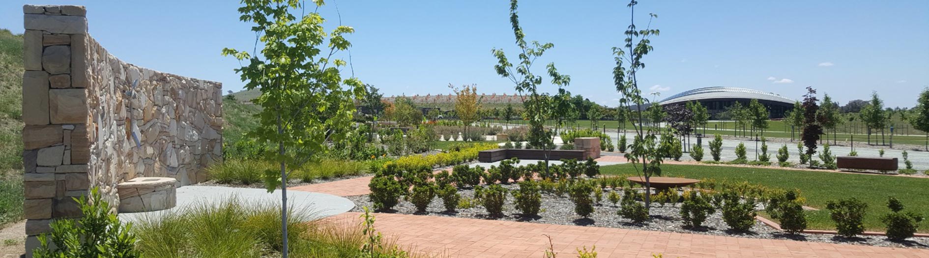 new designed garden with seedling starting to establish