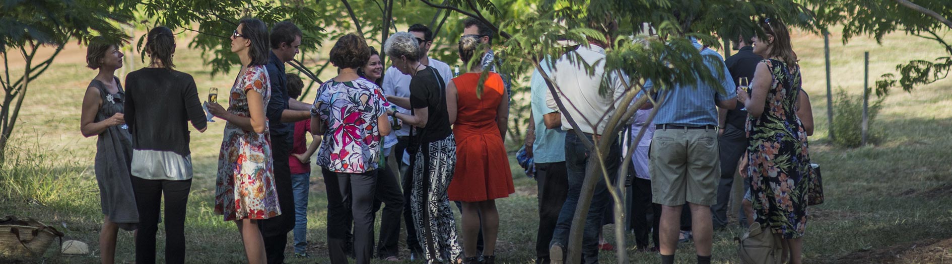 a group of well dressed adults standing and chatting the forest