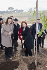 Prime Minister Julia Gillard planting the 'Tree of Knowledge'.
