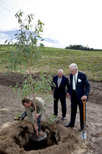 Planting the Red River Gum